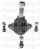 BORG & BECK BBJ5068 Ball Joint